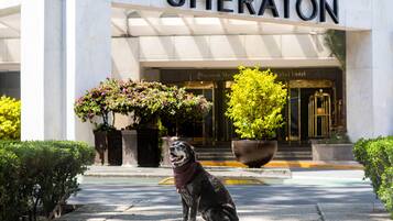 Vista desde la propiedad