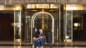 A woman sitting on a bench outside a hotel entrance with a dog.
