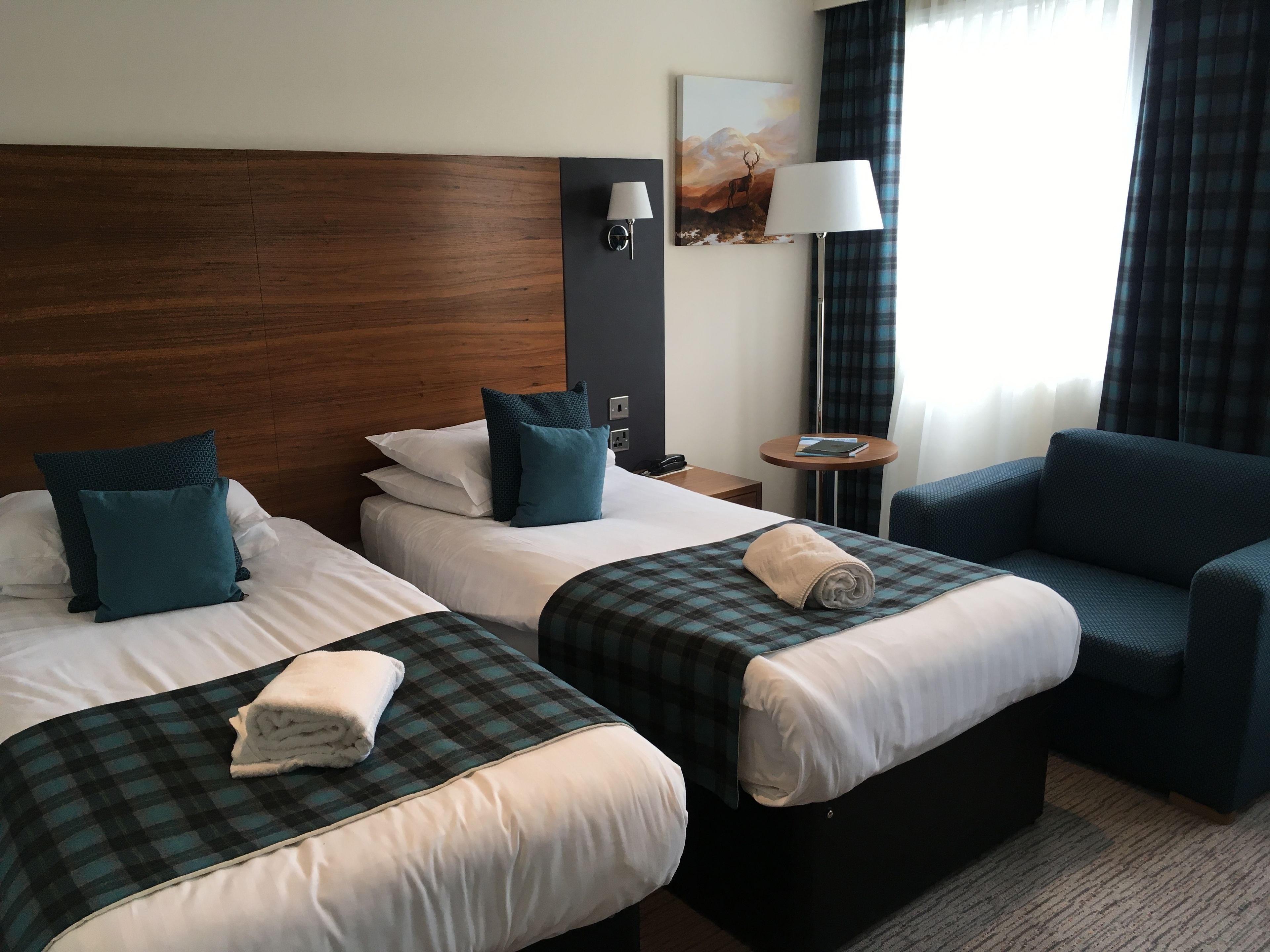 Hypo-allergenic bedding, in-room safe, individually decorated