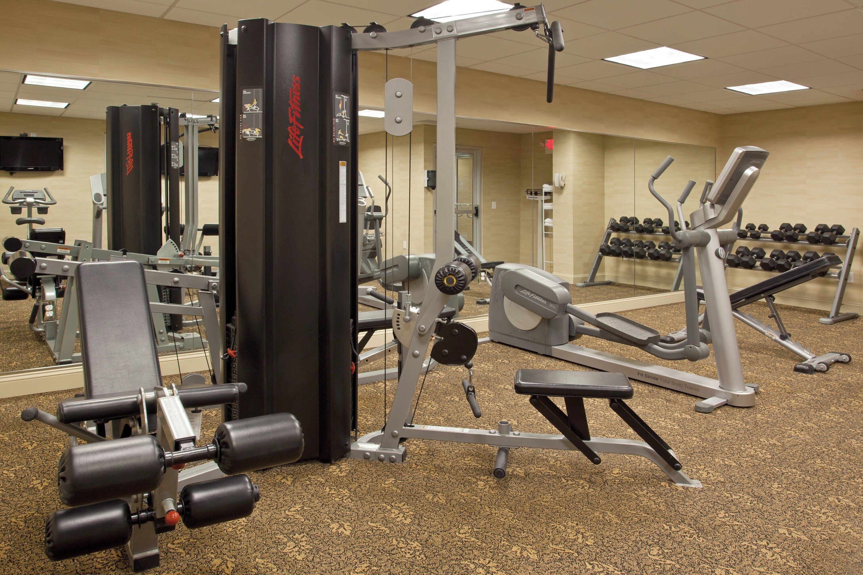 A gym with various exercise equipment, including dumbbells, a bench, and a weight machine.