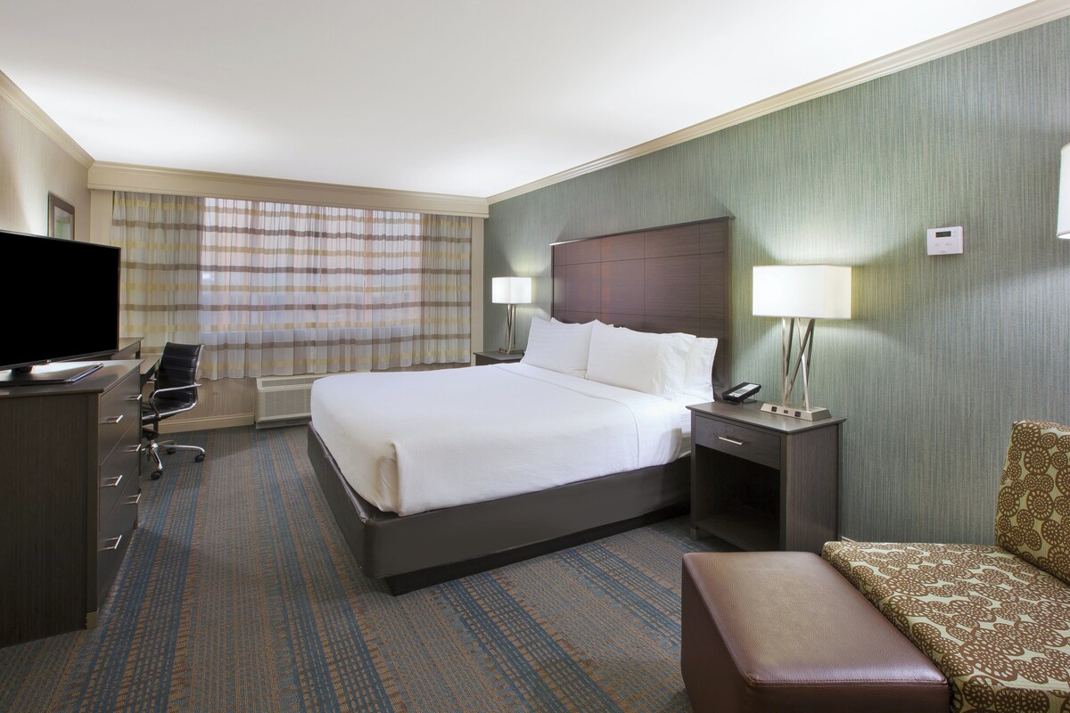 A hotel room with a bed, a desk with a TV, a chair, a bedside table with lamps, and a patterned sofa.