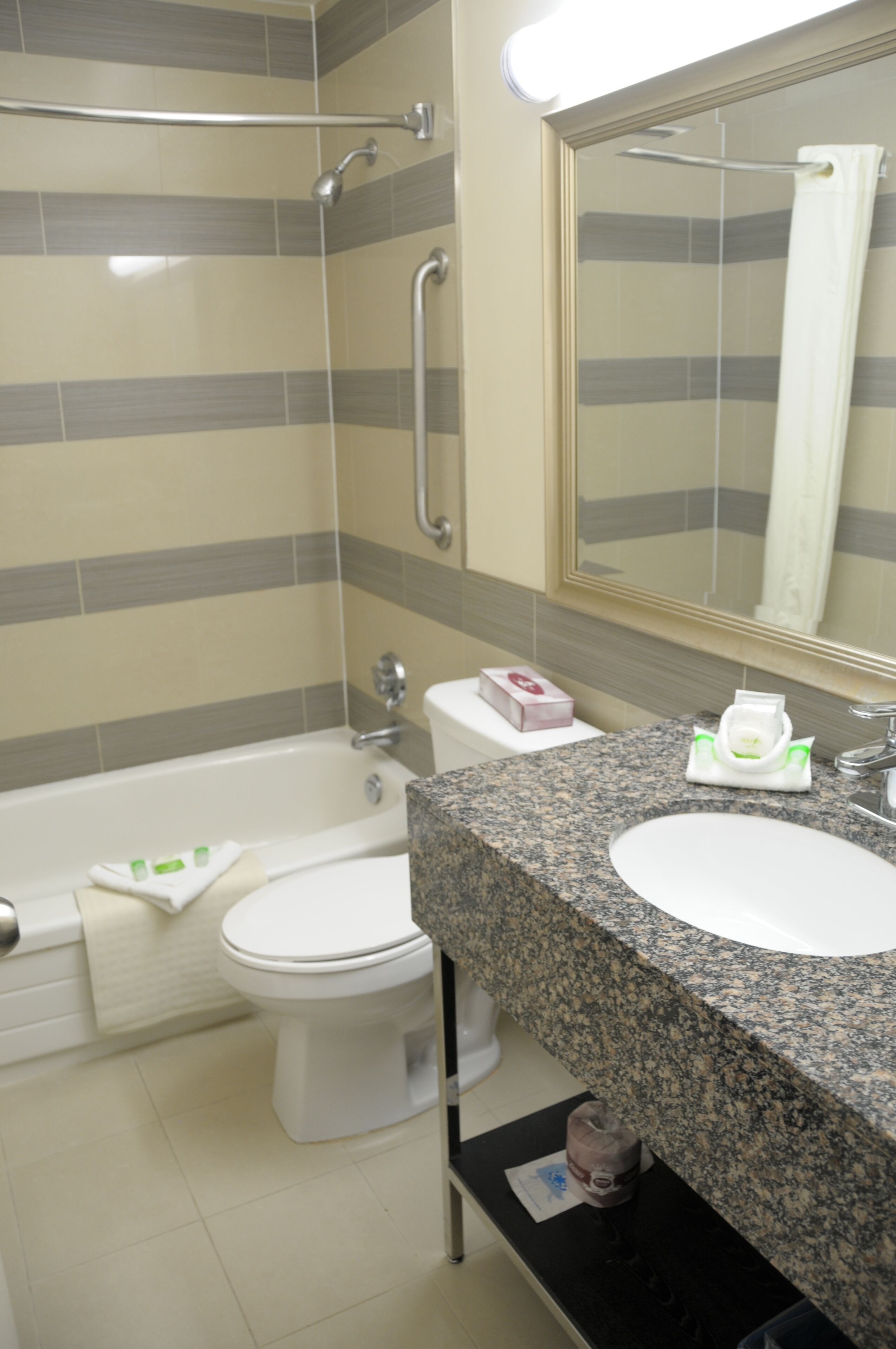 Room, 1 Queen Bed | Bathroom | Free toiletries, hair dryer, towels