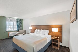 Standard Room, 1 King Bed, Non Smoking | Desk, iron/ironing board, cribs/infant beds, rollaway beds