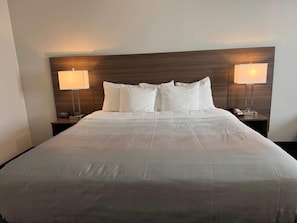 Standard Room, 1 King Bed, Non Smoking | Desk, iron/ironing board, cribs/infant beds, rollaway beds