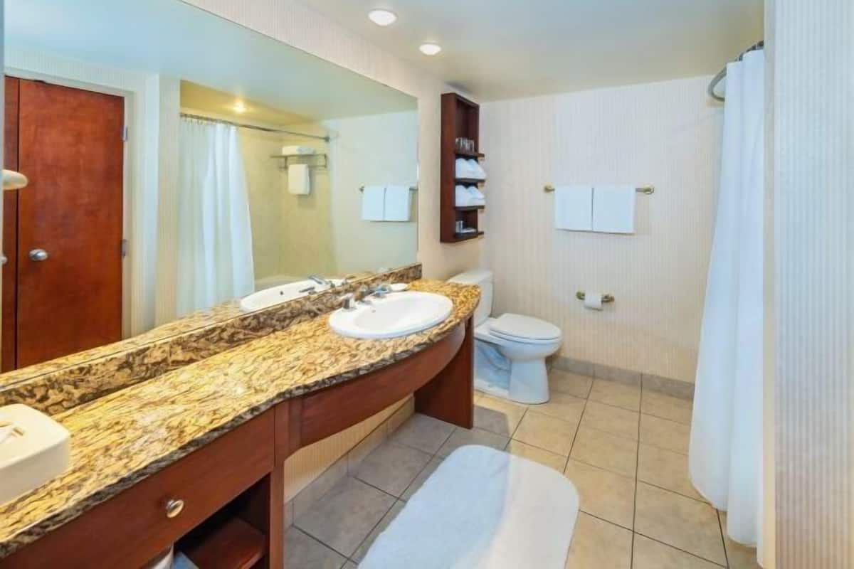 Free toiletries, hair dryer, bathrobes, towels