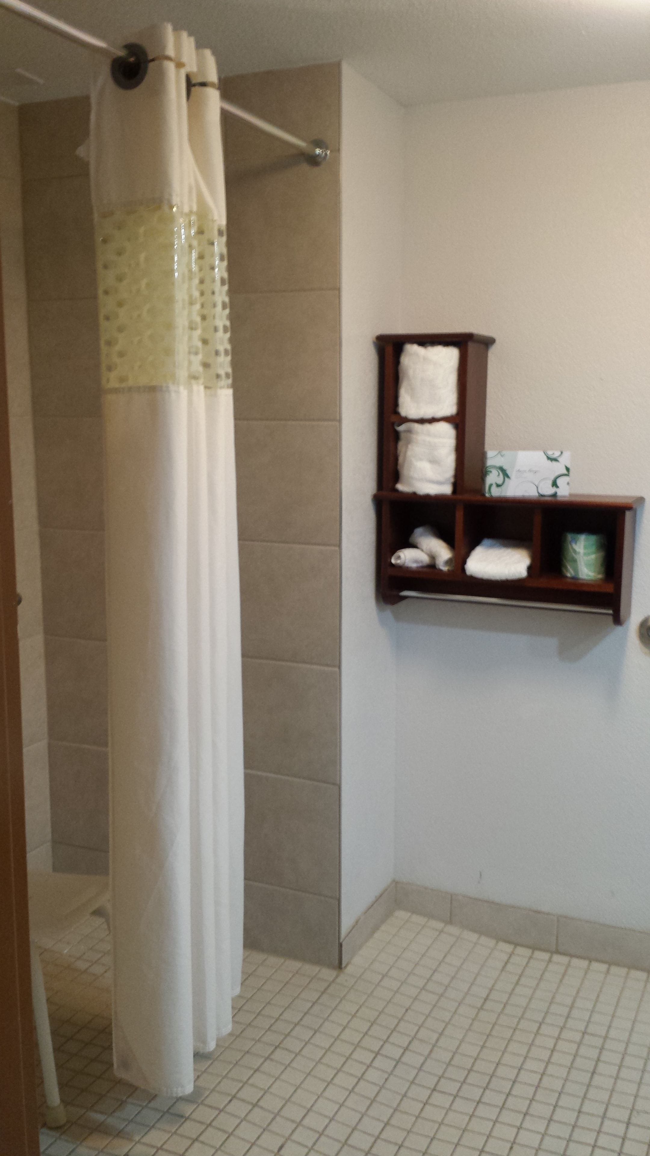 Une salle de bain avec un rideau de douche, un porte-serviettes avec des serviettes et un porte-rouleau de papier toilette.