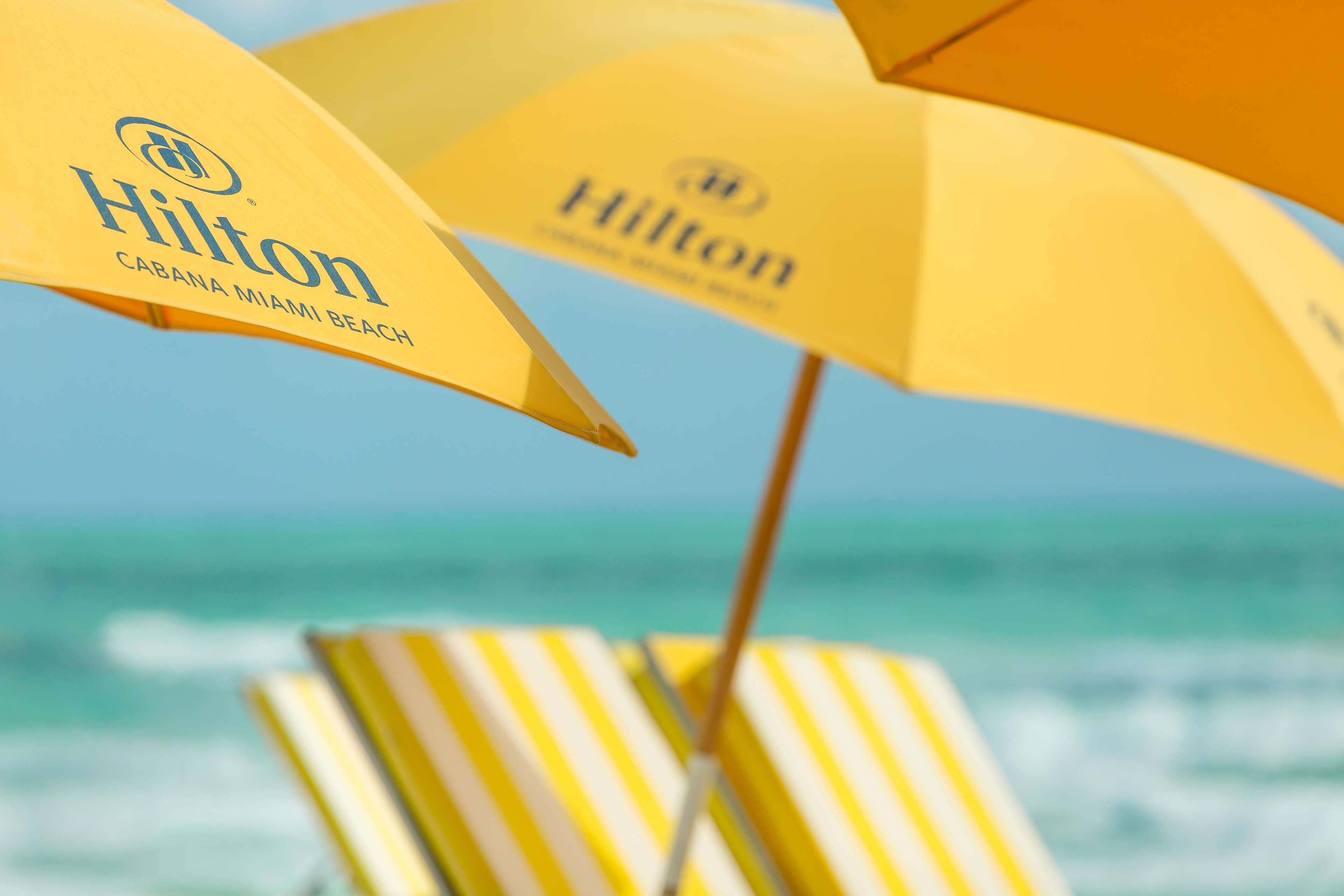 Foto - Hilton Cabana Miami Beach Resort