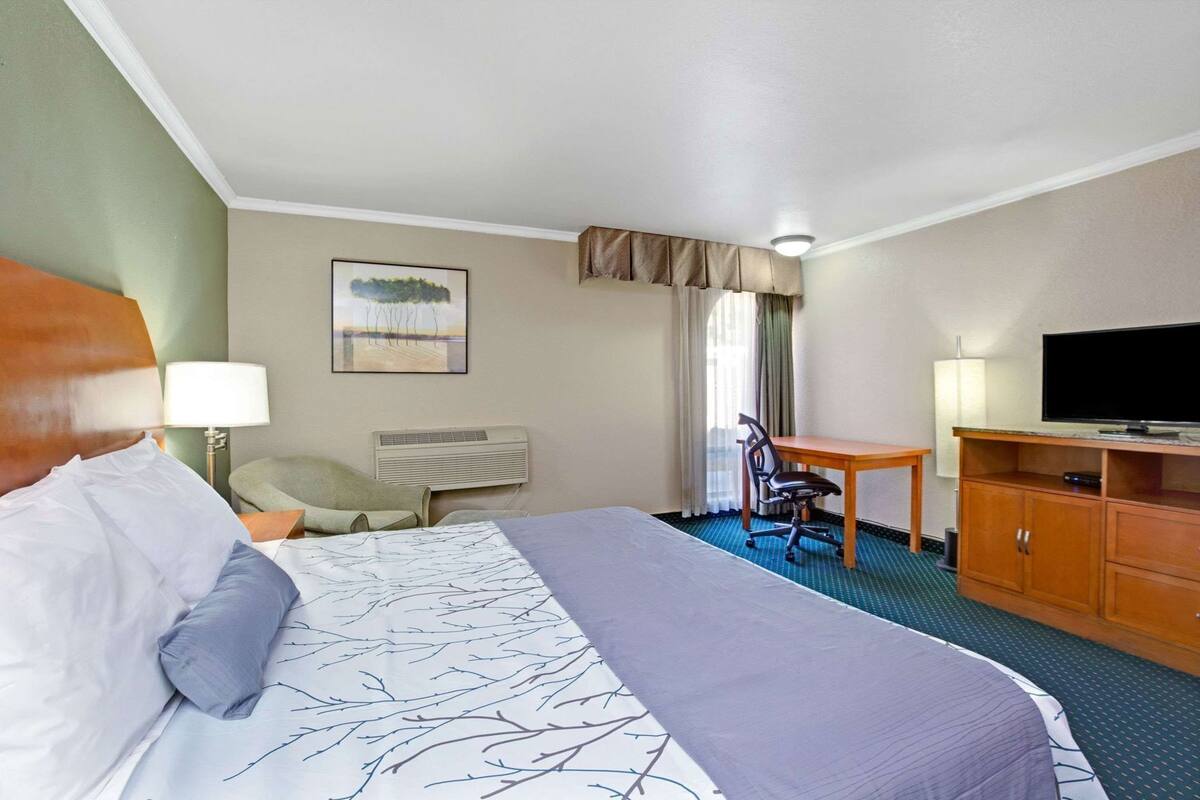 A hotel room with a bed, desk, chair, TV, and a painting on the wall.