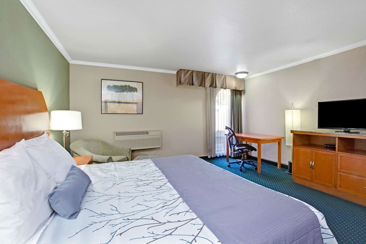 Blackout drapes, iron/ironing board, free cribs/infant beds, free WiFi