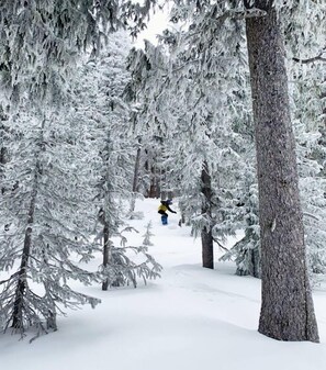 Snow and ski sports