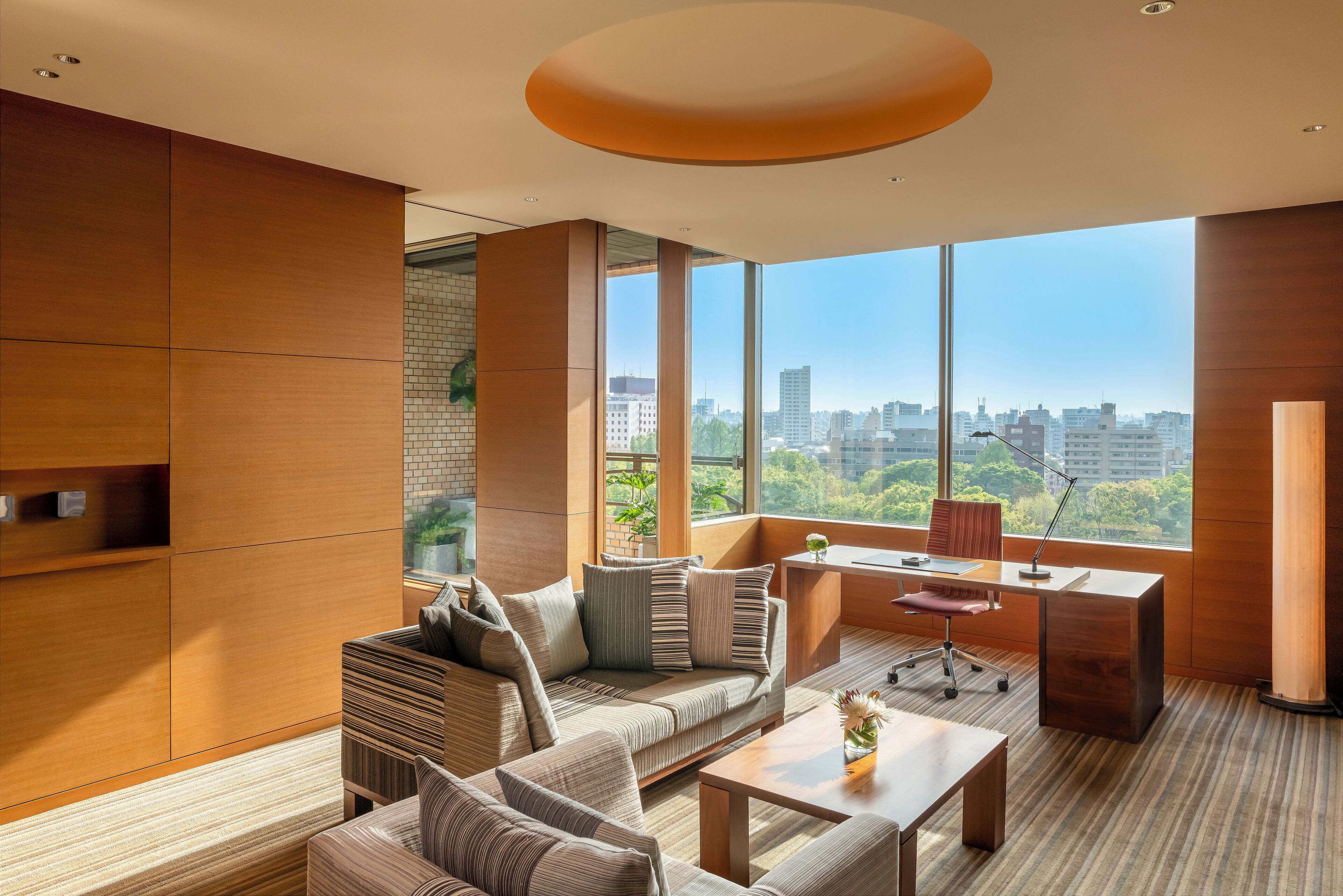 suite (ambassador) | living area