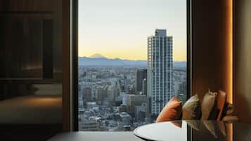 Vista desde la habitación