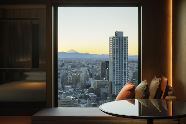 Studio, 1 King Bed, Park View | View from room
