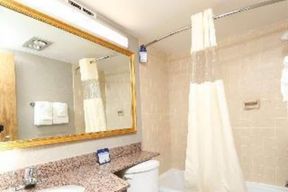 Bathroom | Combined shower/tub, free toiletries, hair dryer, towels