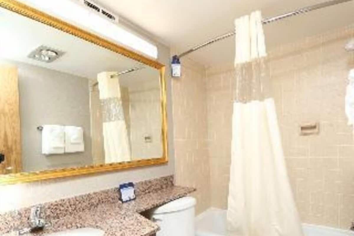 Bathroom | Combined shower/tub, free toiletries, hair dryer, towels