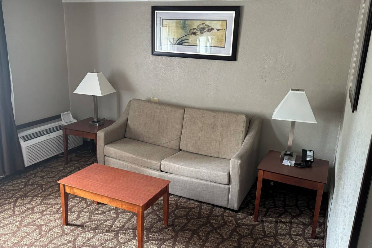 suite, 1 king bed with sofa bed, non smoking | in-room safe, desk, blackout curtains, iron/ironing board