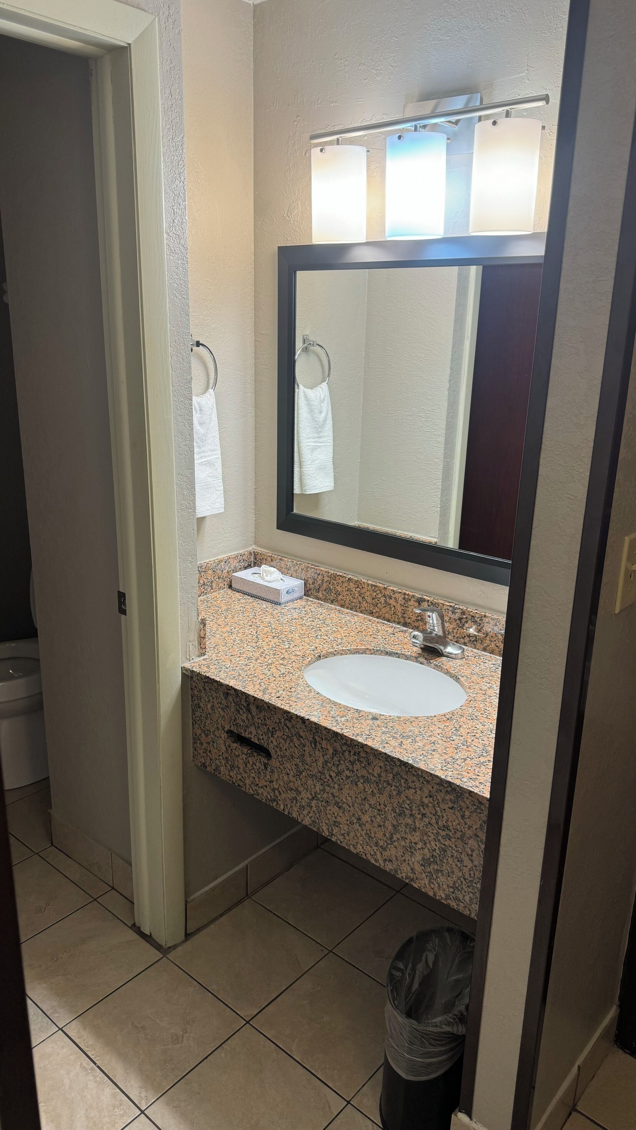 combined shower/bathtub, free toiletries, hair dryer, towels