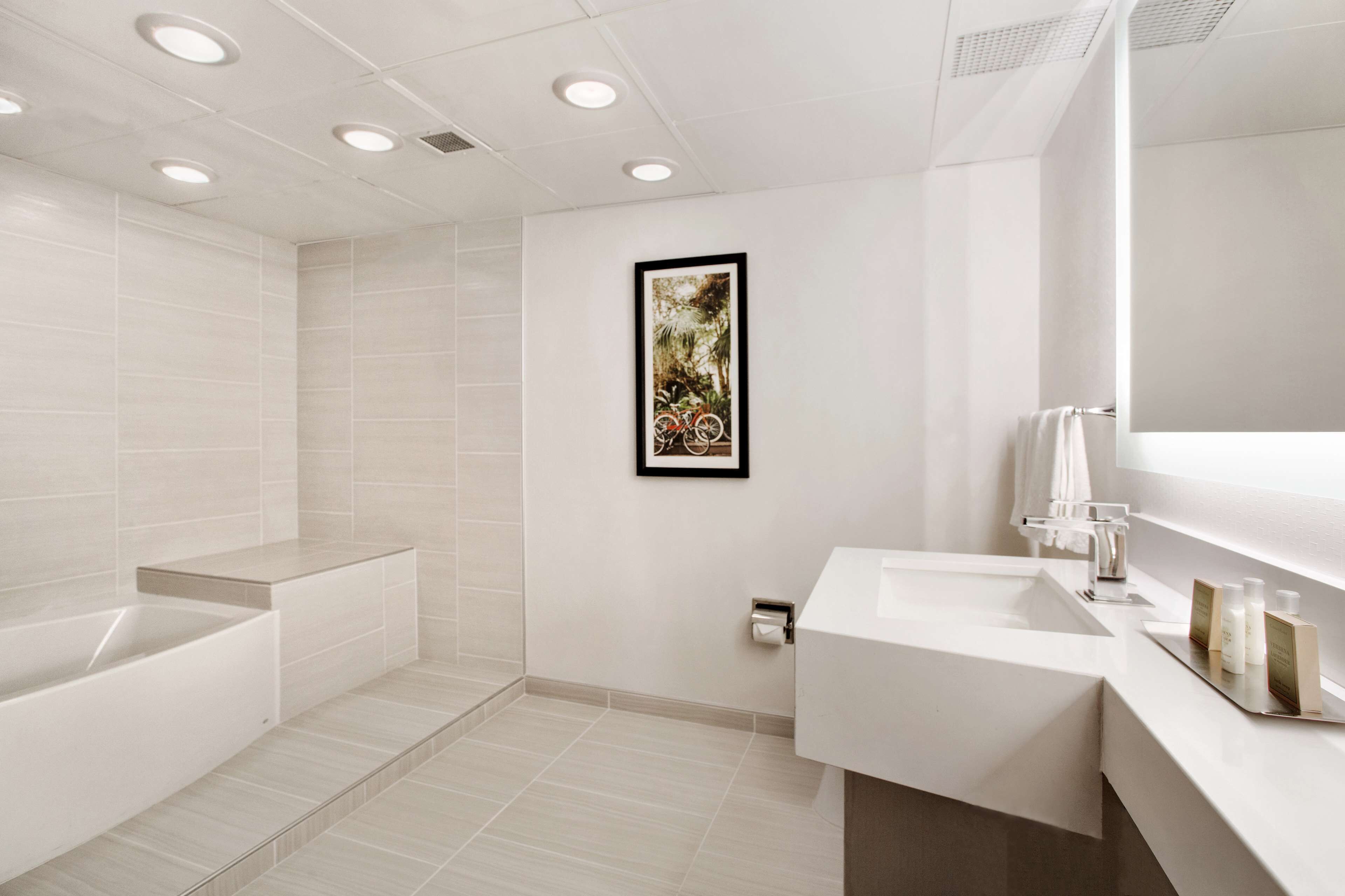 combined shower/bathtub, free toiletries, hair dryer, towels