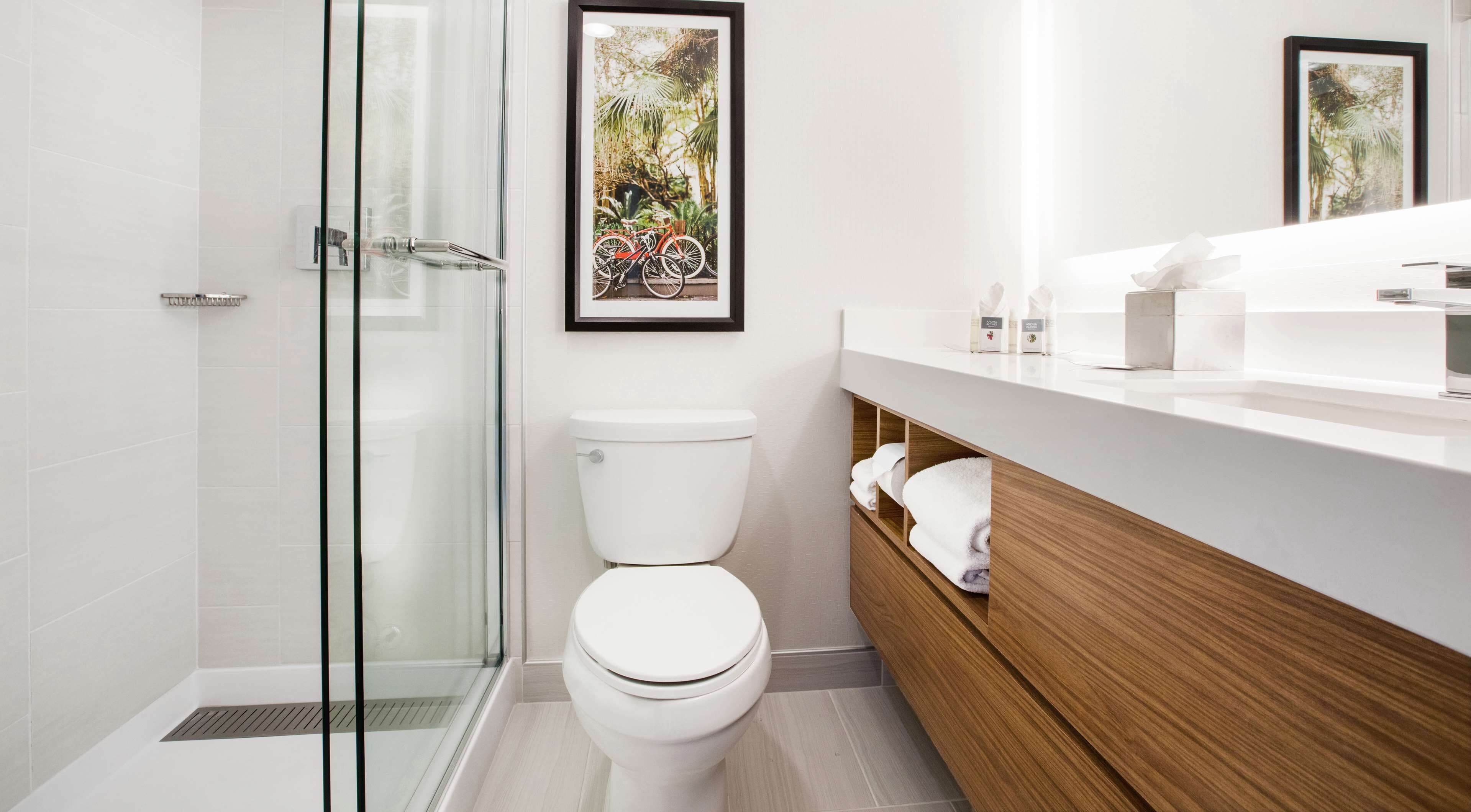 combined shower/bathtub, free toiletries, hair dryer, towels