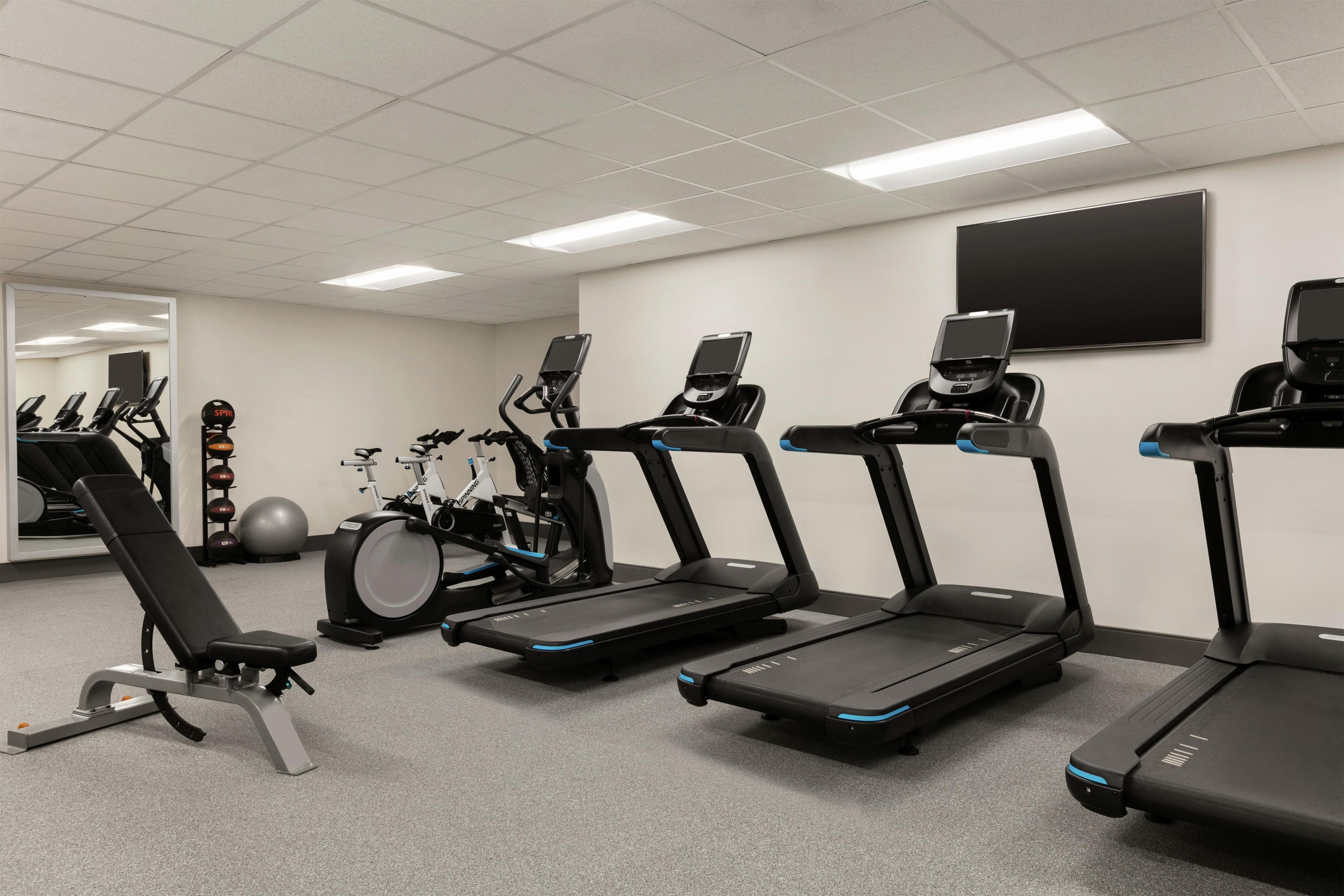 A gym with treadmills, a stationary bike, and a rowing machine.