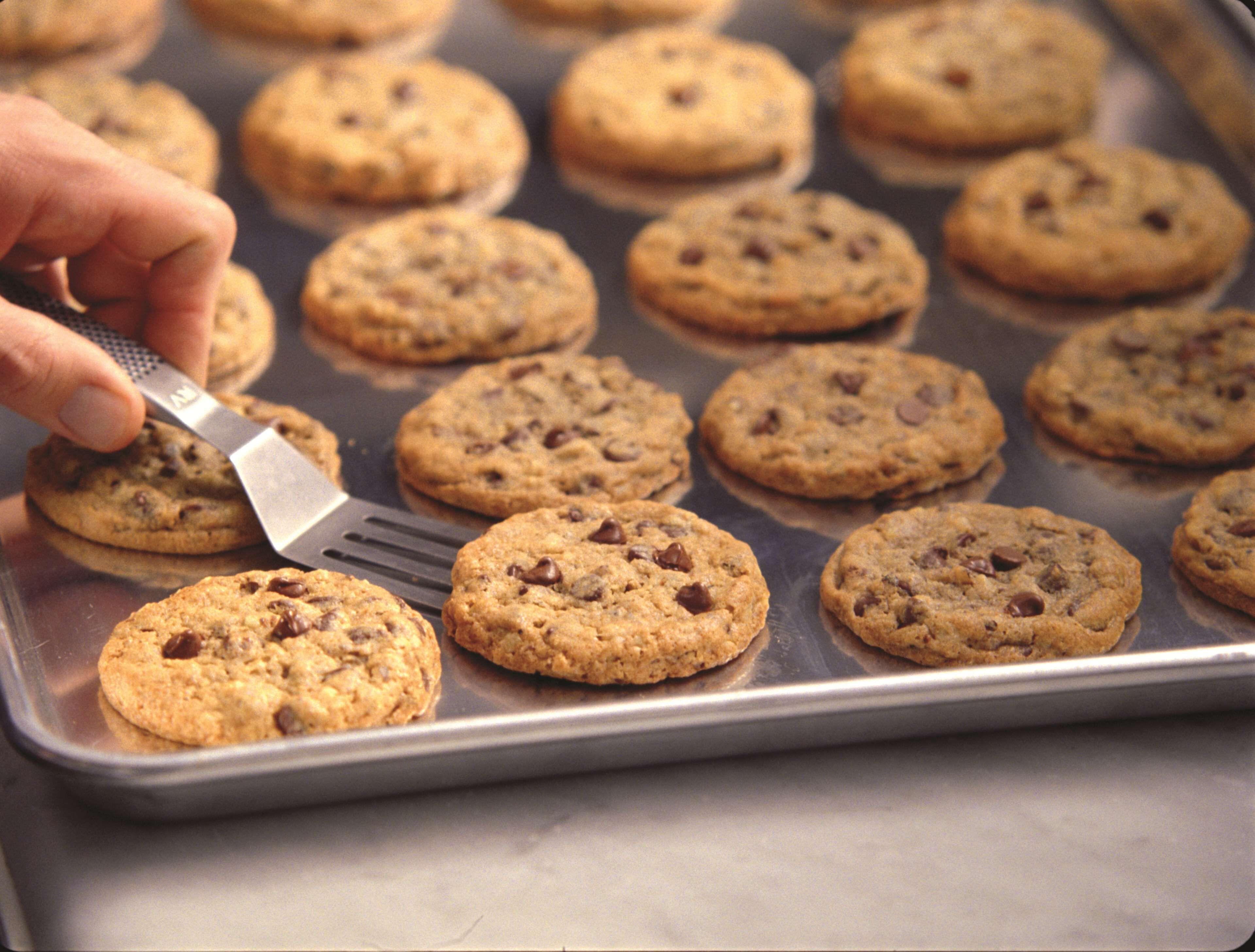 A tray of freshly baked chocolate chip cookies on a metal baking sheet.
