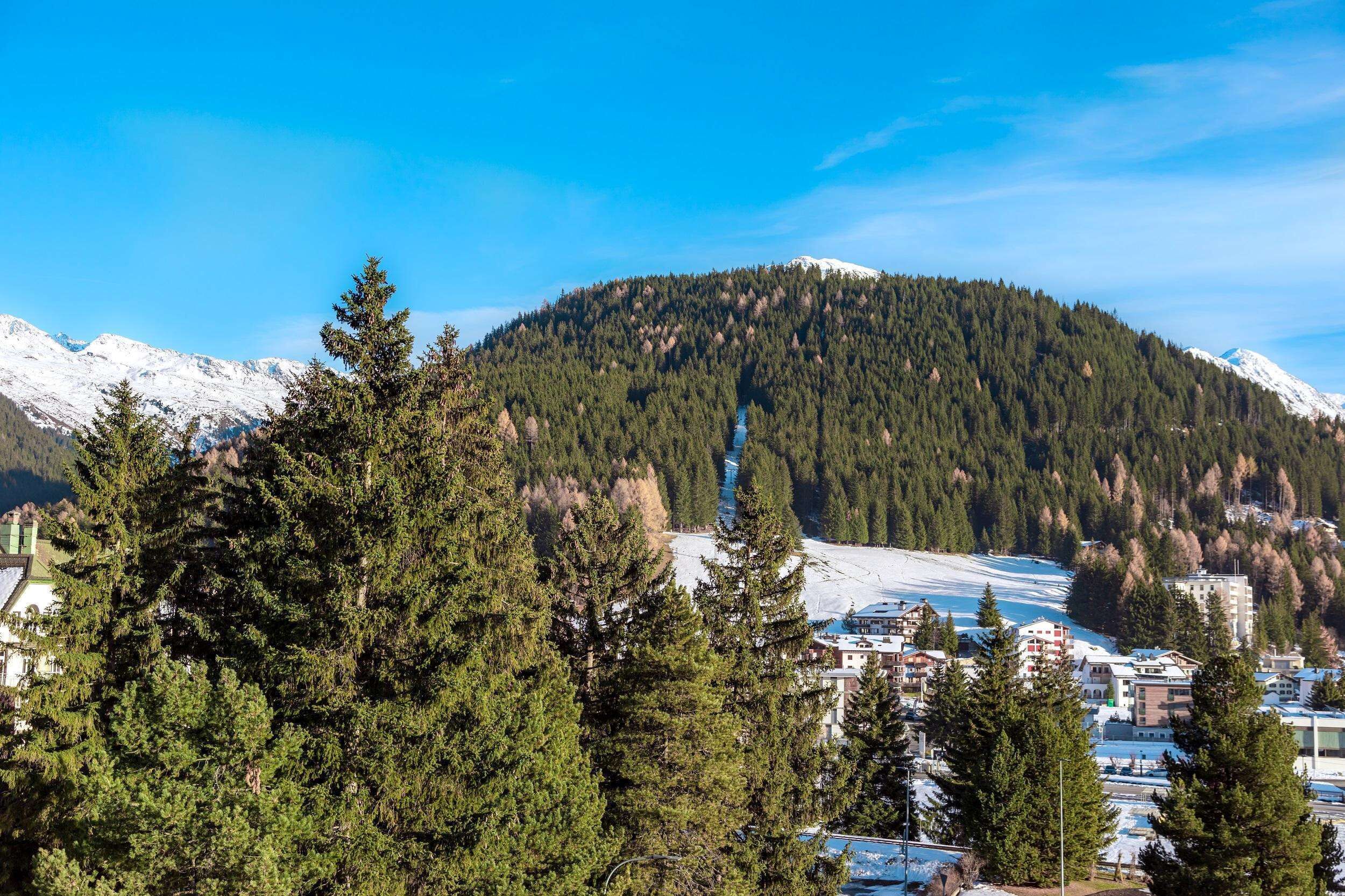 Un paisaje montañoso con picos nevados, un bosque denso y un pueblo con edificios en primer plano.