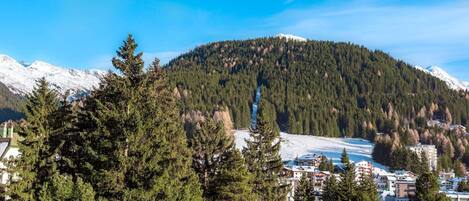 Un paisaje montañoso con picos nevados, un bosque denso y un pueblo con edificios en primer plano.