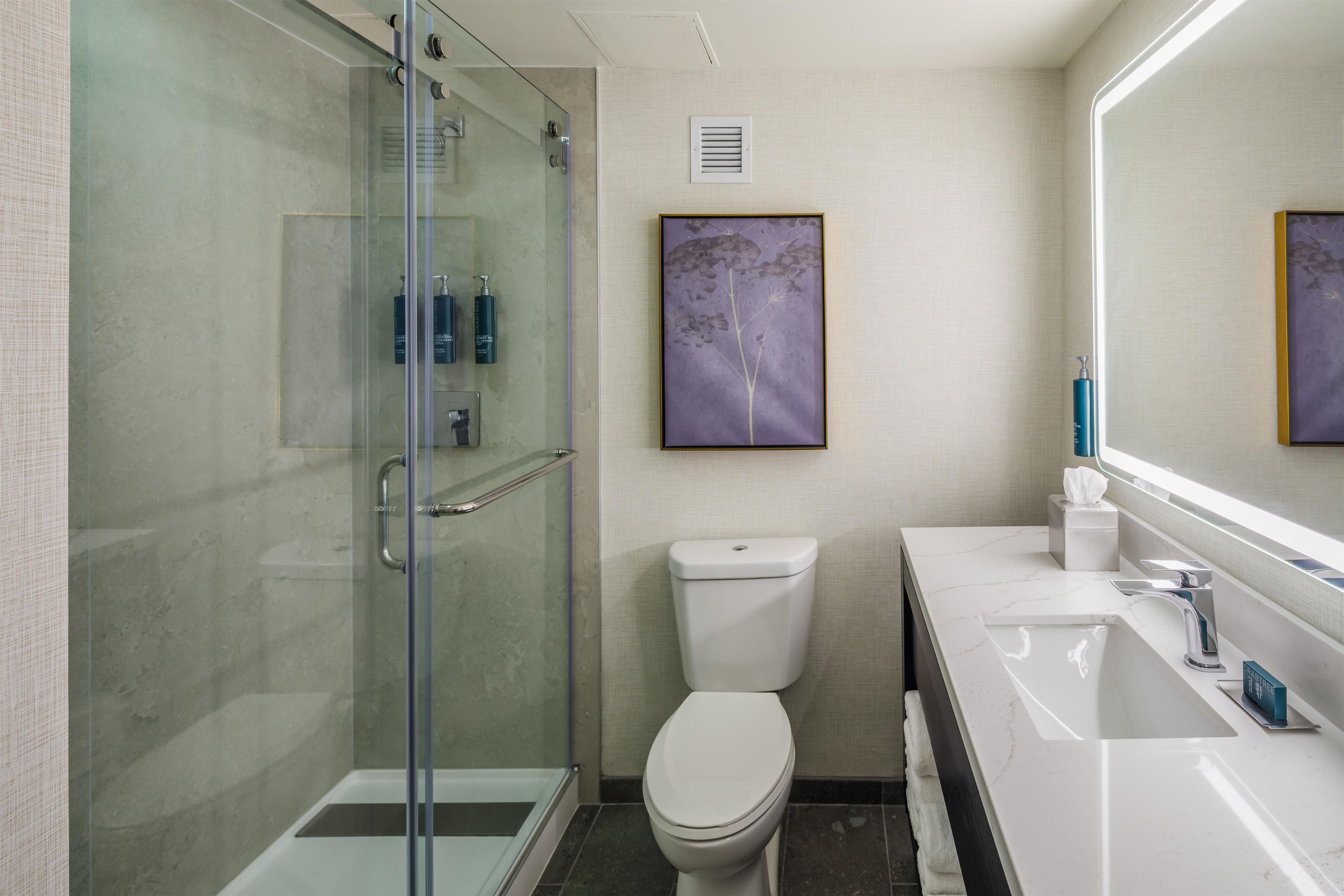 A modern bathroom with a glass-enclosed shower, a toilet, and a sink with a mirror above.