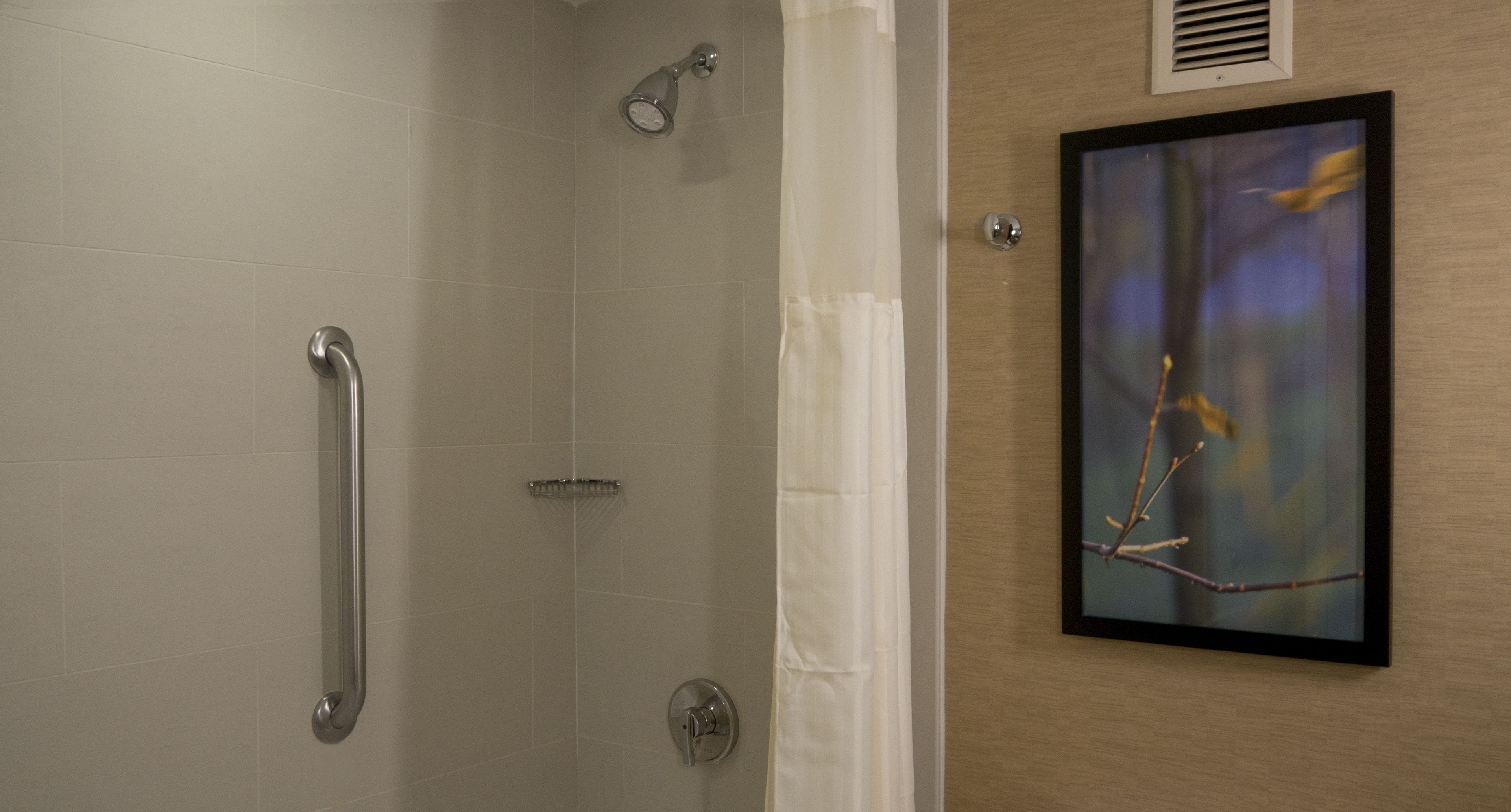 A shower with a grab bar, a towel rack, and a framed picture on the wall.