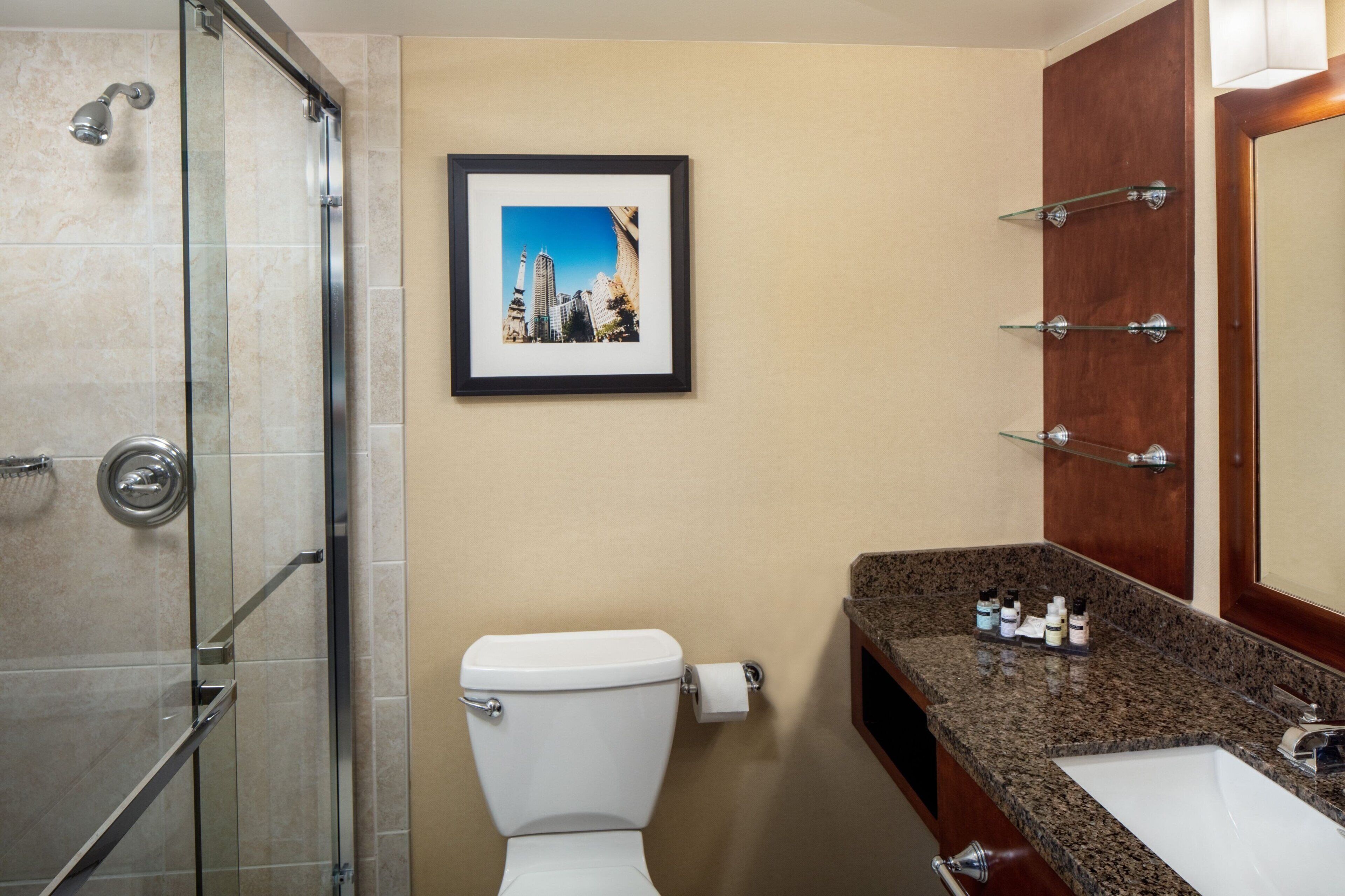 combined shower/bathtub, free toiletries, hair dryer, towels