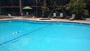 Outdoor pool, sun loungers