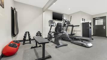 A gym with exercise equipment, a bench, and a treadmill.