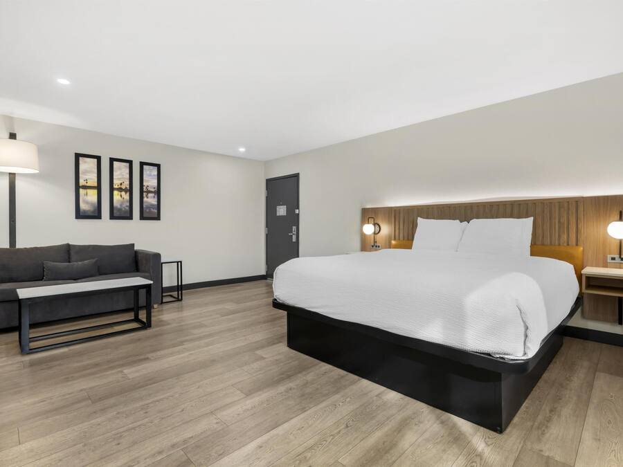 Standard Room, 1 King Bed, Non Smoking, Corner (with Single Sofabed;Larger Room) | Premium bedding, pillowtop beds, in-room safe, desk