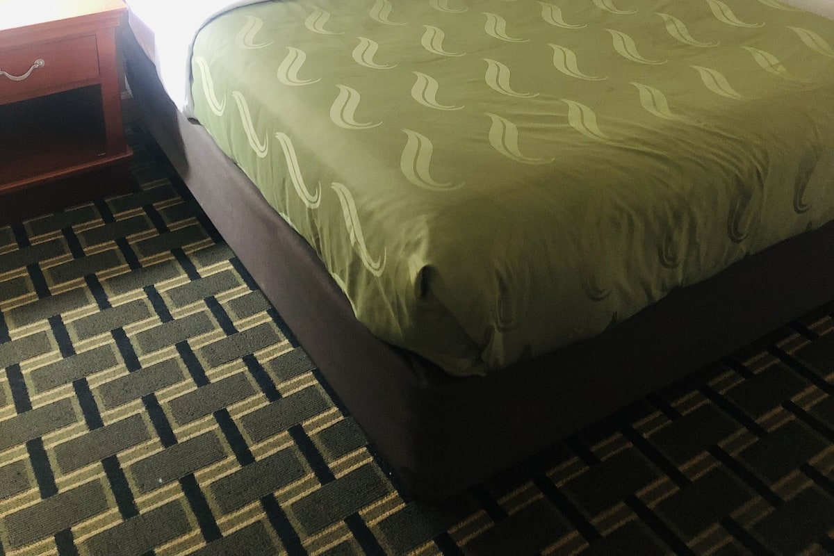 Une chambre d’hôtel avec un lit, une table de chevet, un tableau encadré au mur et une moquette à motifs.