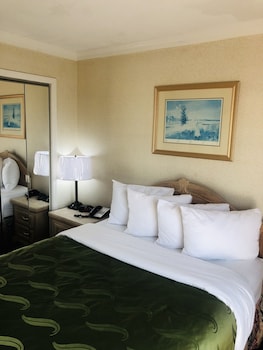Superior Room | Premium bedding, in-room safe, desk, iron/ironing board at Quail Inn & Suites