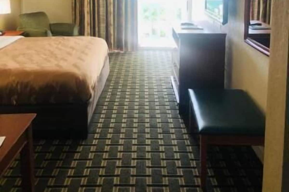 Une chambre d’hôtel équipée d’un lit, d’un bureau, d’une chaise, d’un banc, d’une télévision et d’une fenêtre avec des rideaux.