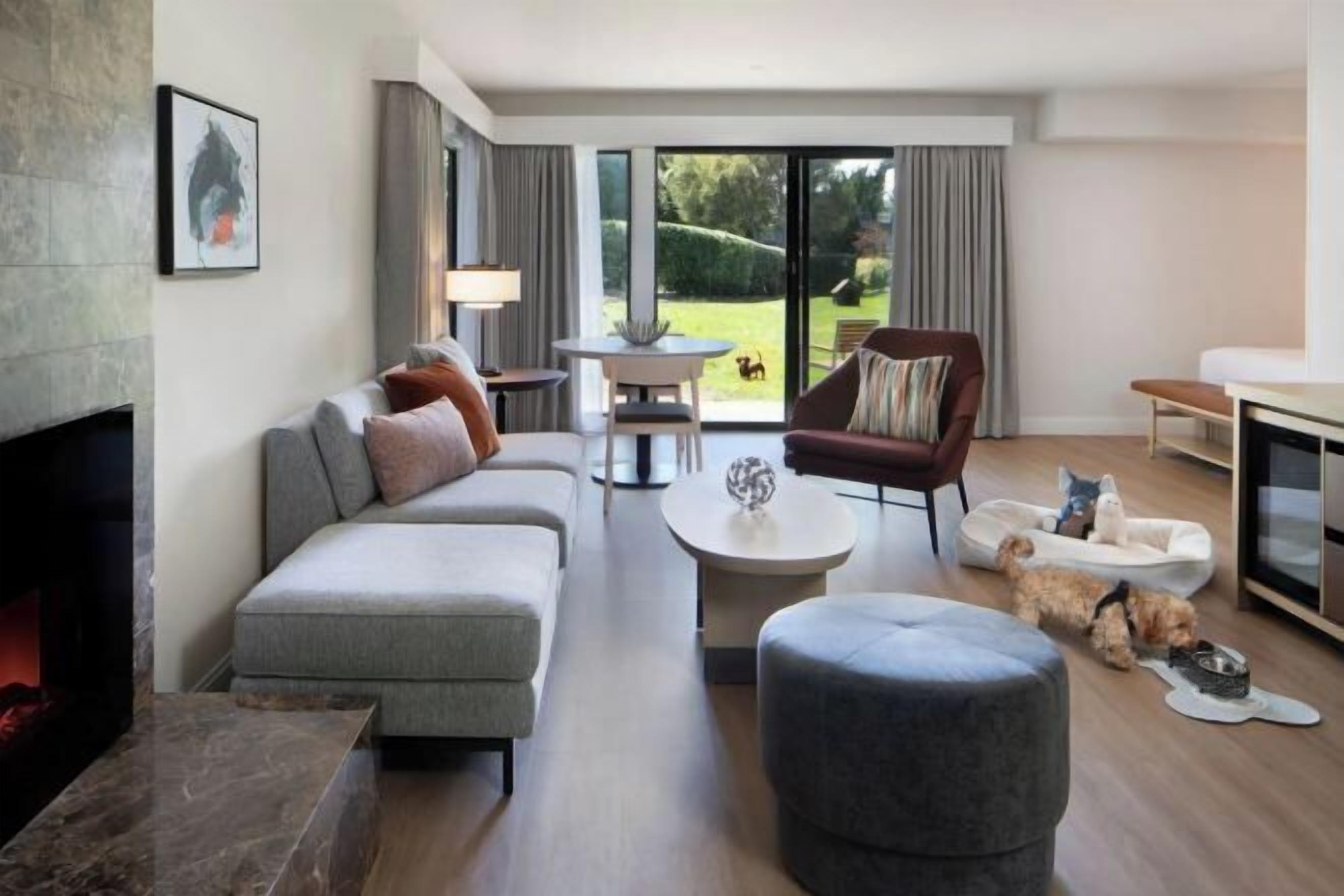 Wohnbereich | 55-Zoll-LED-Fernseher mit Digitalempfang, Fernseher, Pay-TV