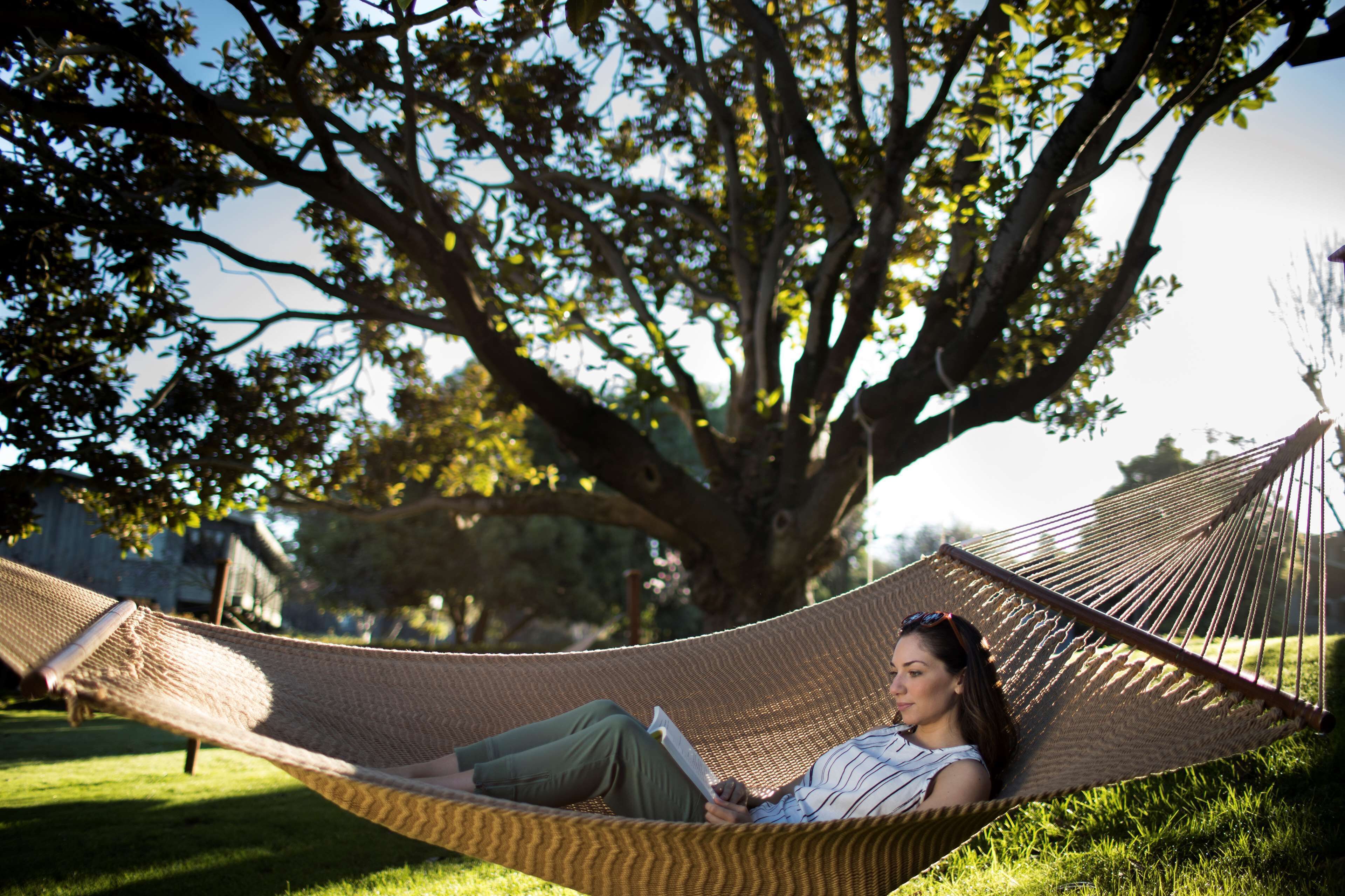 A hammock under a tree with a person reading a book.