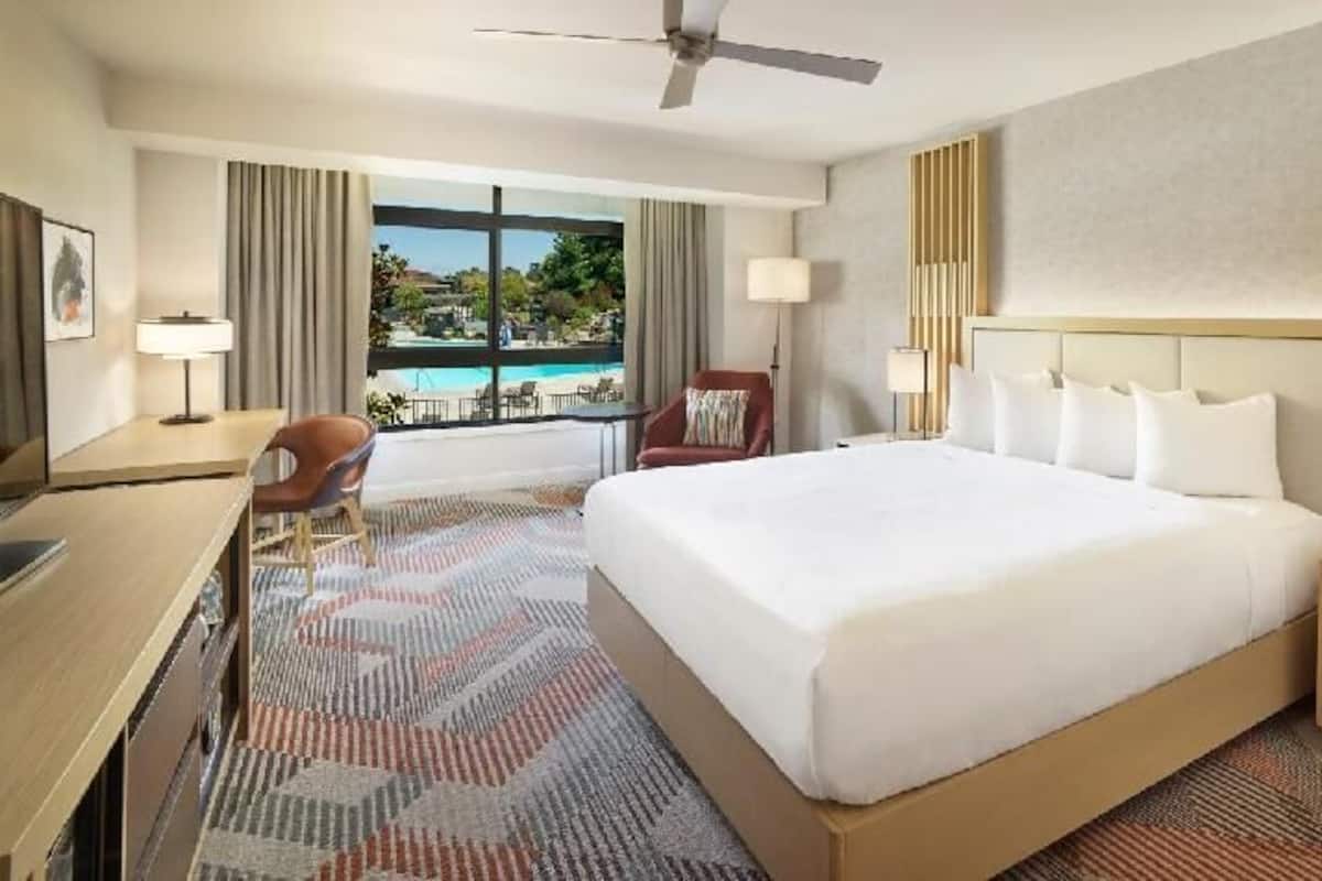 Premium bedding, down comforters, pillowtop beds, in-room safe