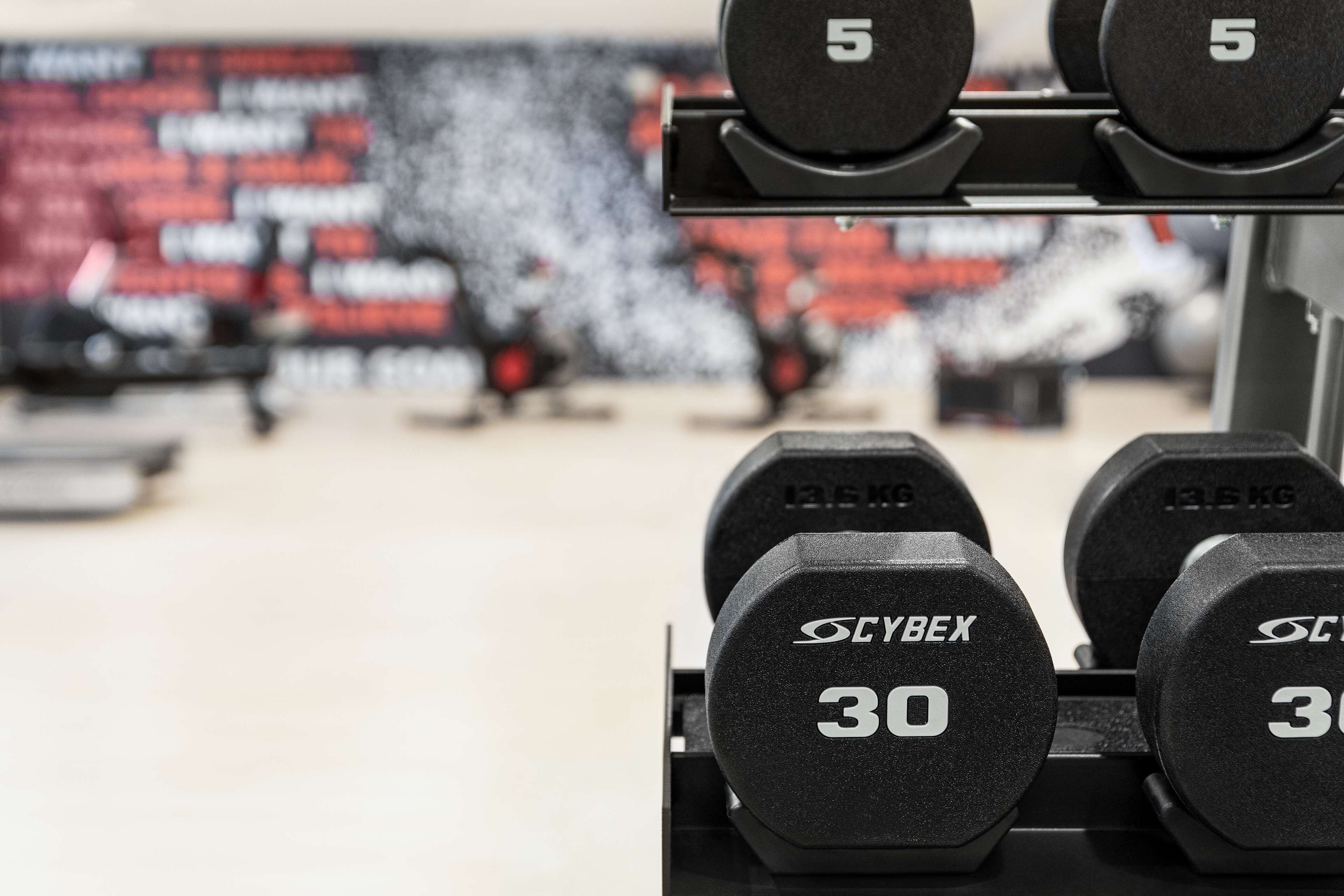 A gym with weightlifting equipment, including dumbbells and a bench.