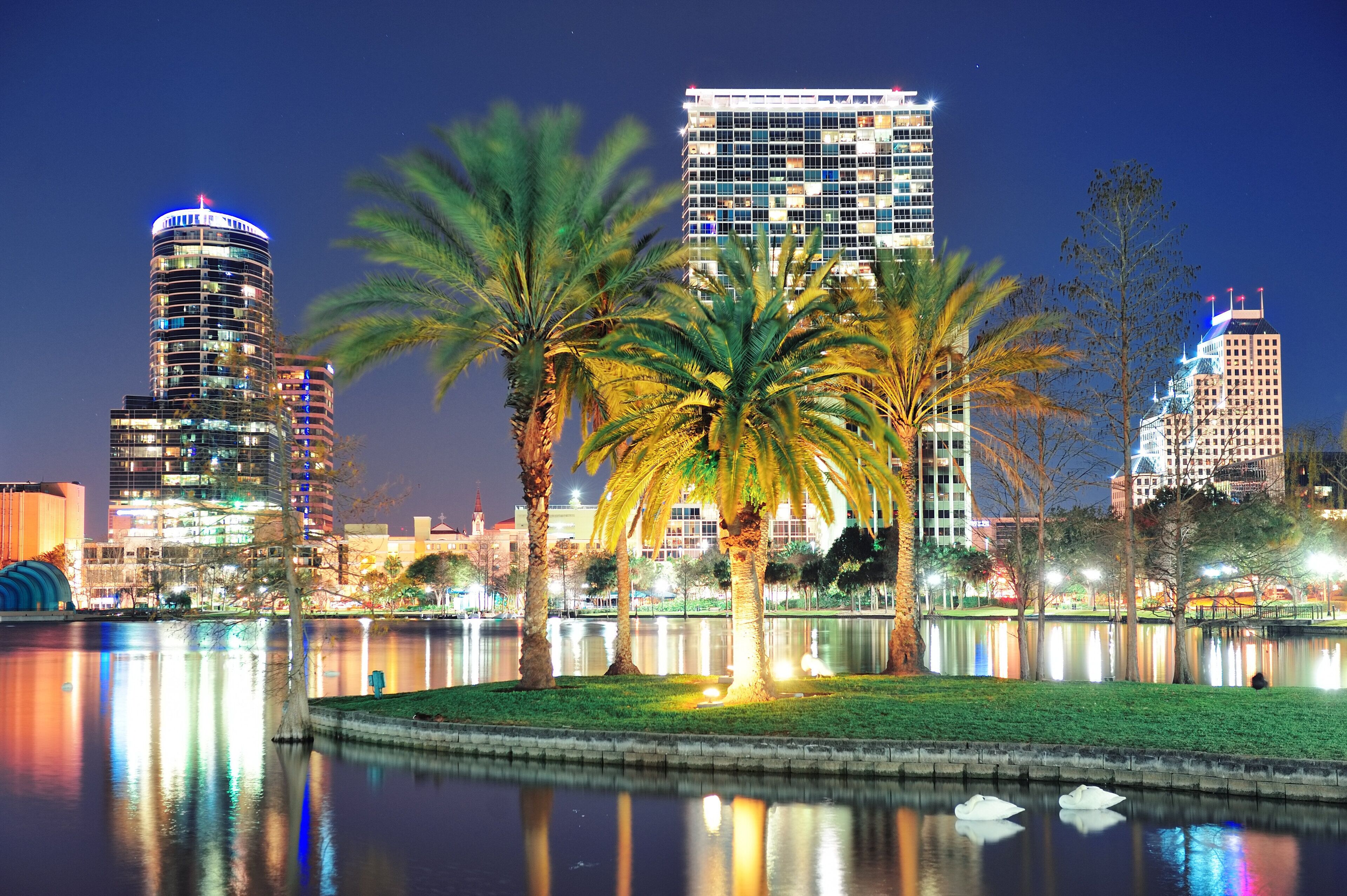 Un paisaje urbano nocturno con edificios modernos, un cuerpo de agua tranquilo que refleja las luces y palmeras.
