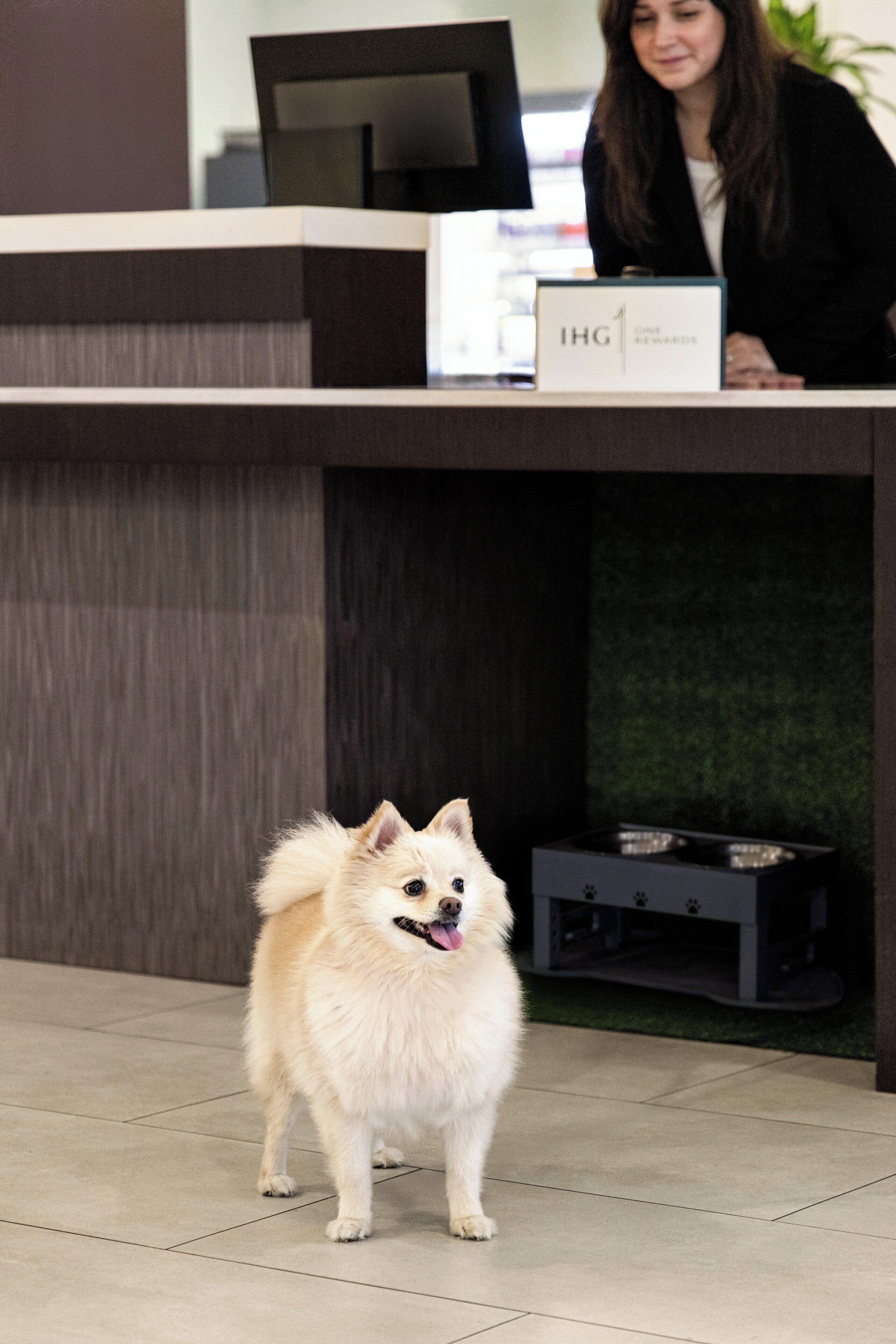 Photo - Crowne Plaza Orlando - Lake Buena Vista by IHG