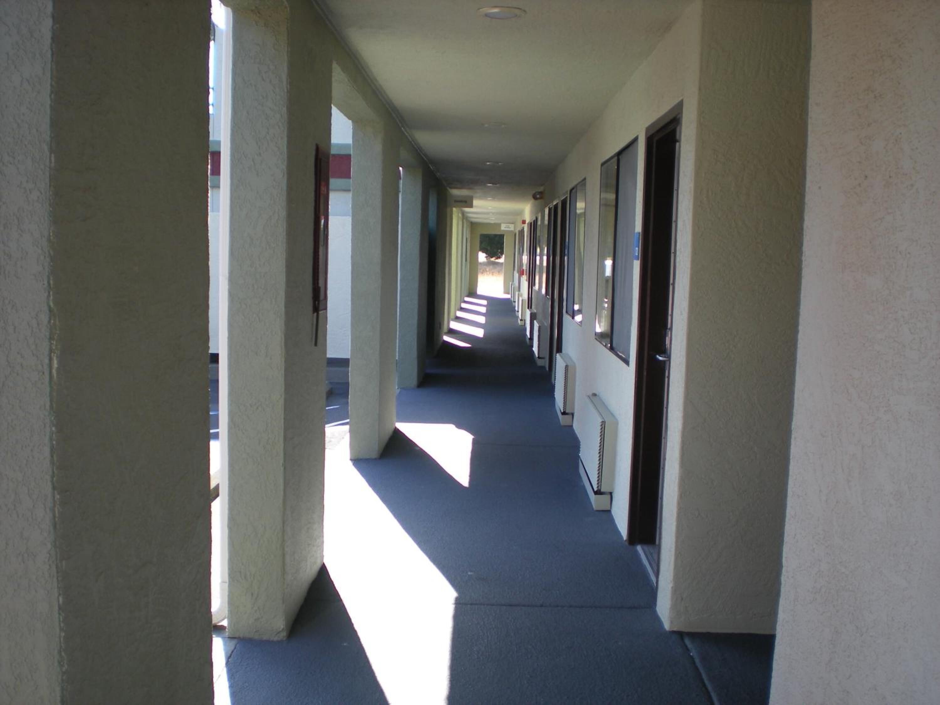 A corridor with a blue carpet, white walls, and columns.