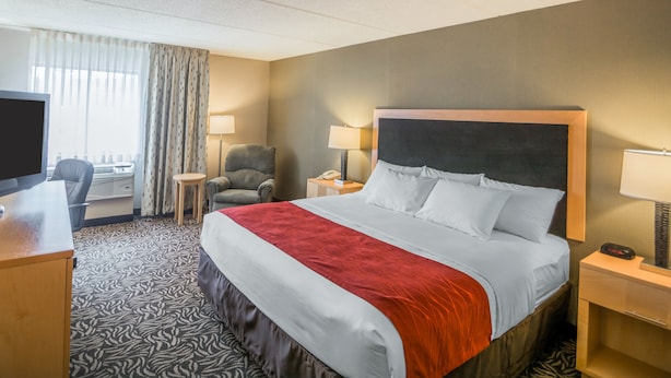 A hotel room with a bed, a desk, a chair, a TV, and a window with curtains. - Comfort Inn - NYS Fairgrounds (Syracuse)