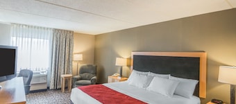 Comfort Inn - NYS Fairgrounds