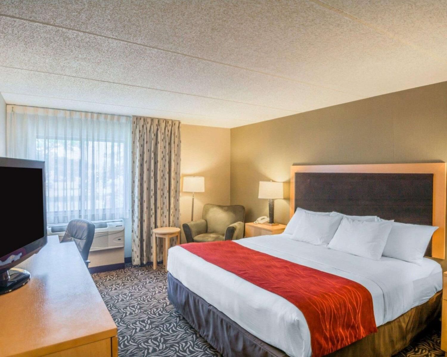 Photo - Comfort Inn - NYS Fairgrounds