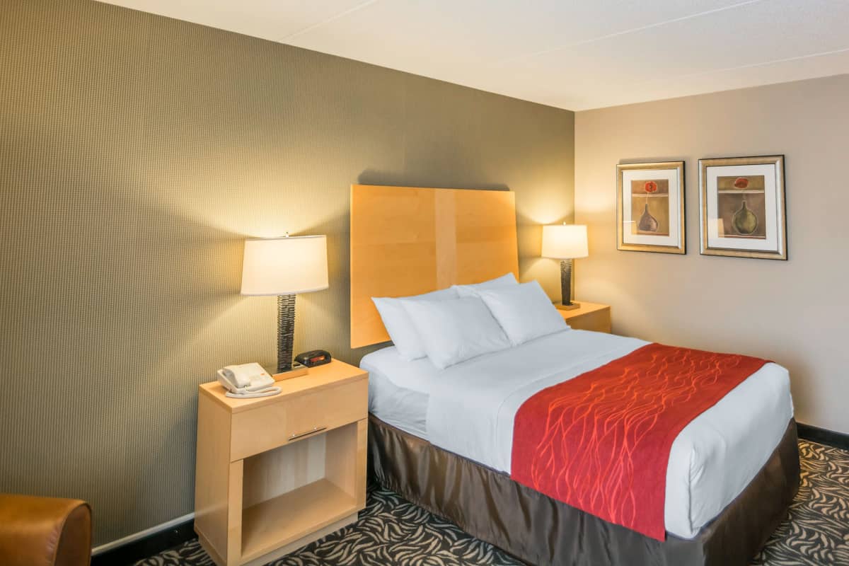 A hotel room with a bed, two bedside tables, a lamp, and two framed pictures on the wall.