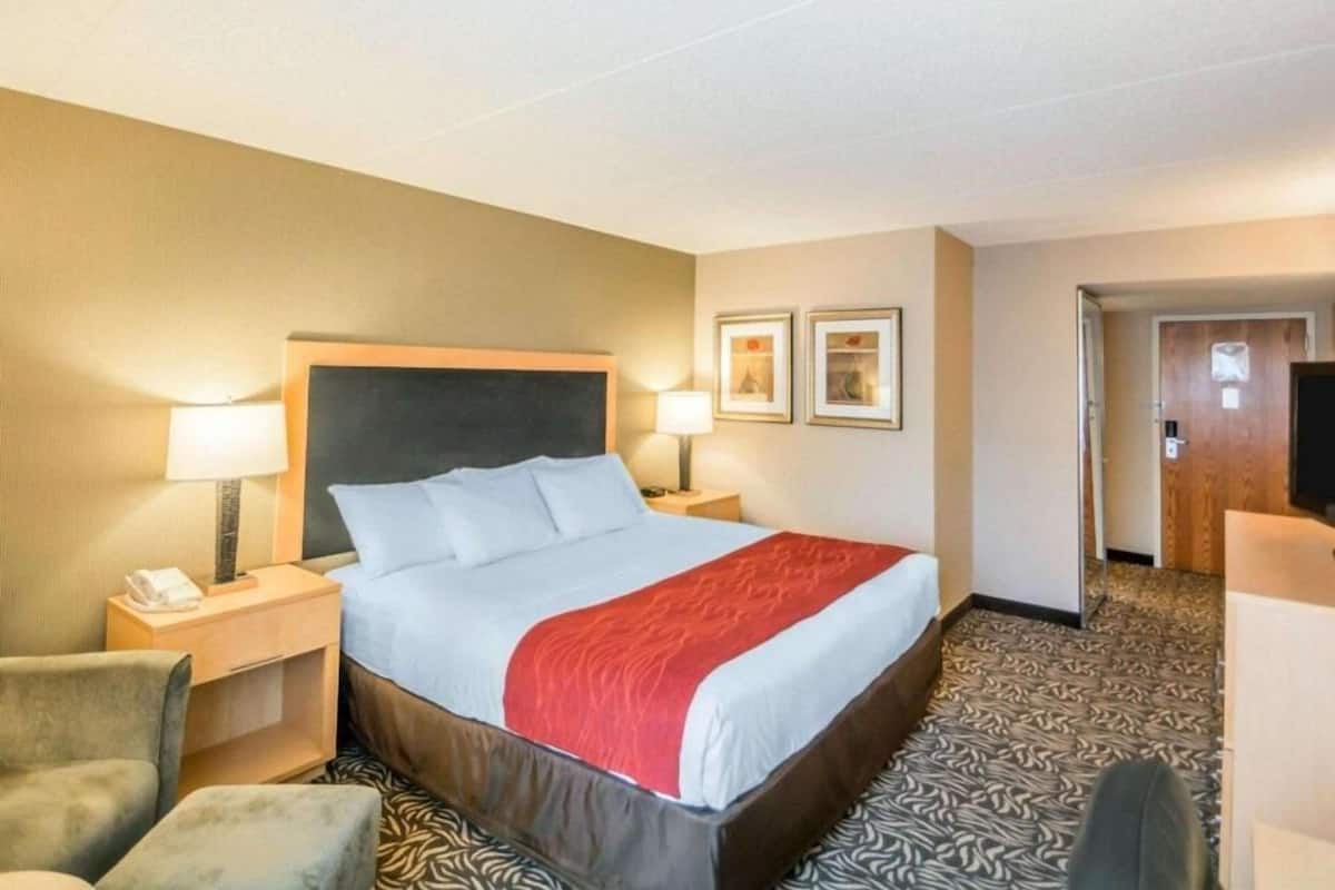 Premium bedding, desk, laptop workspace, blackout curtains
