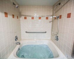 Bañera con ducha, artículos de tocador gratuitos, secador de pelo