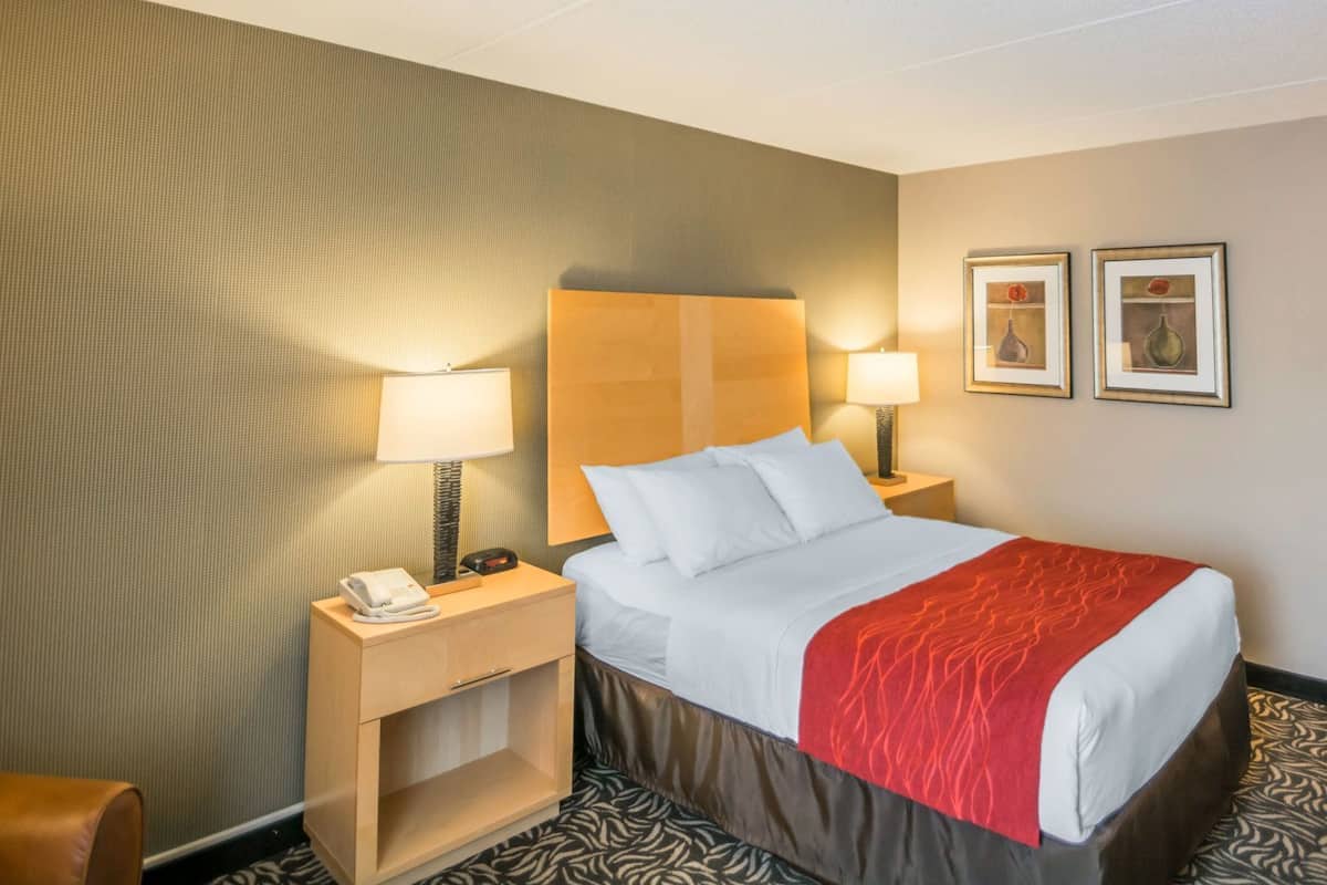 A hotel room with a bed, two bedside tables, a telephone, two lamps, and two framed pictures on the wall.